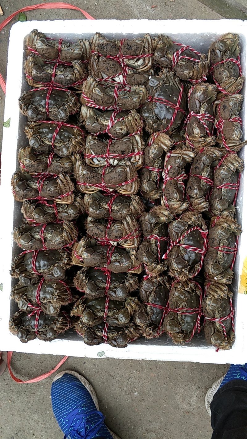 一手货源，需要什么规格都有！