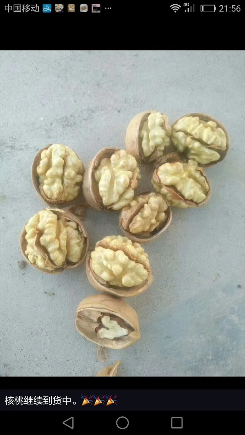 核桃新疆阿克苏185纸皮核桃，洗过，30mm以上