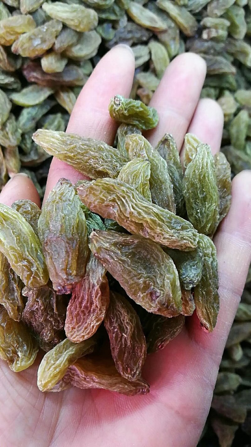 葡萄干新疆吐鲁番绿香妃，颗粒饱满厚实，个头大甜度高，包邮