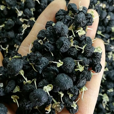 黑枸杞新疆黑枸杞，大颗粒，破碎少，颗粒均匀