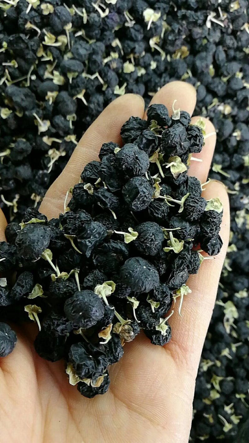 黑枸杞新疆黑枸杞，大颗粒，破碎少，颗粒均匀