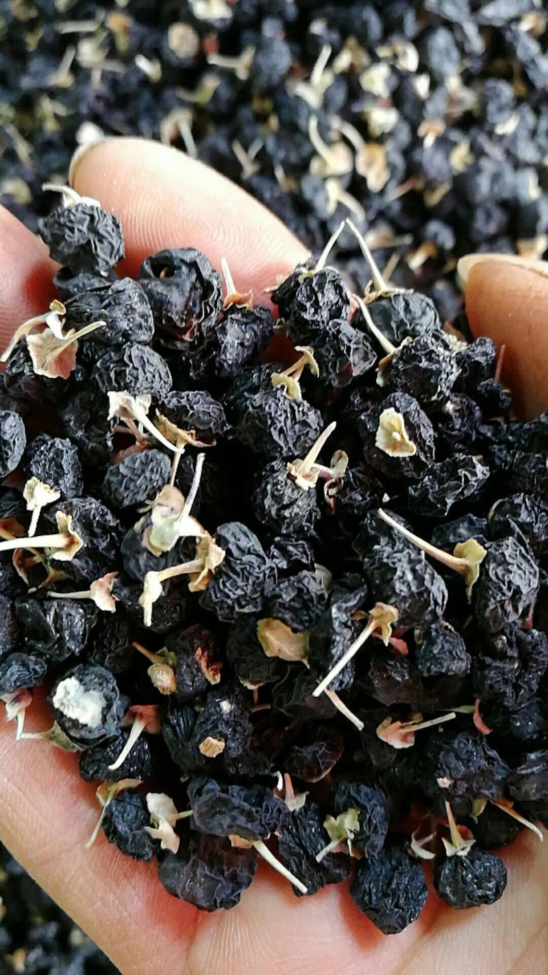 黑枸杞新疆黑枸杞，大颗粒，破碎少，颗粒均匀