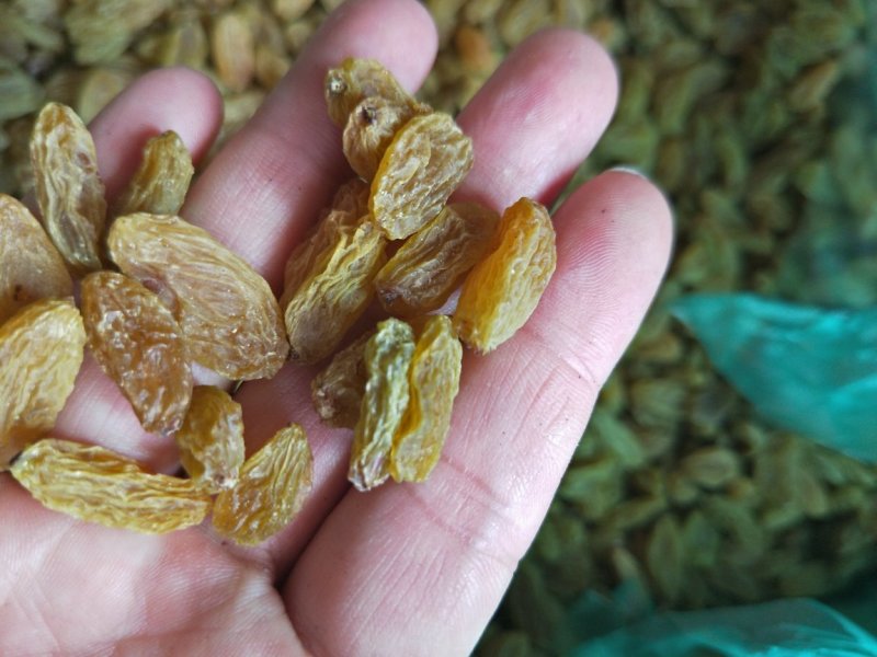 新疆吐鲁番葡萄干20斤一箱无籽无沙