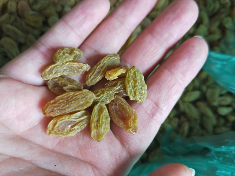 新疆吐鲁番葡萄干20斤一箱无籽无沙