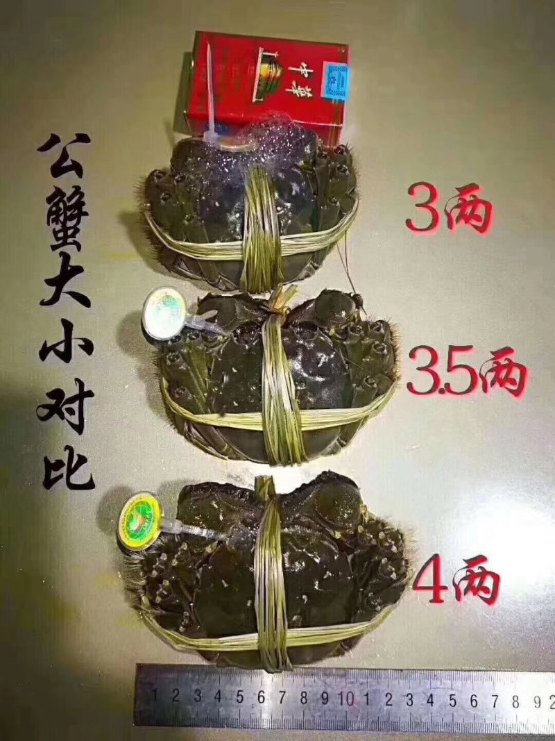 大闸蟹马鞍山当涂产地直供。