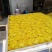 金丝皇菊