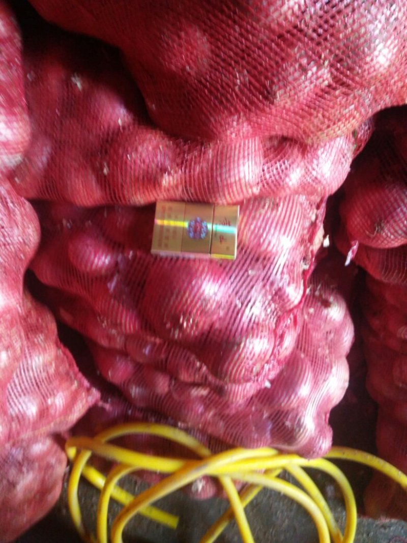 精品红皮二红洋葱，大量上市啦！