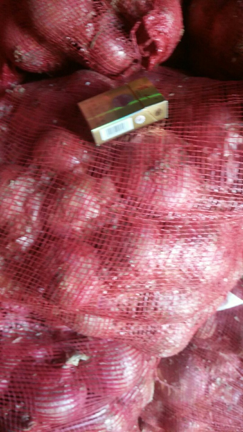 精品红皮二红洋葱，大量上市啦！