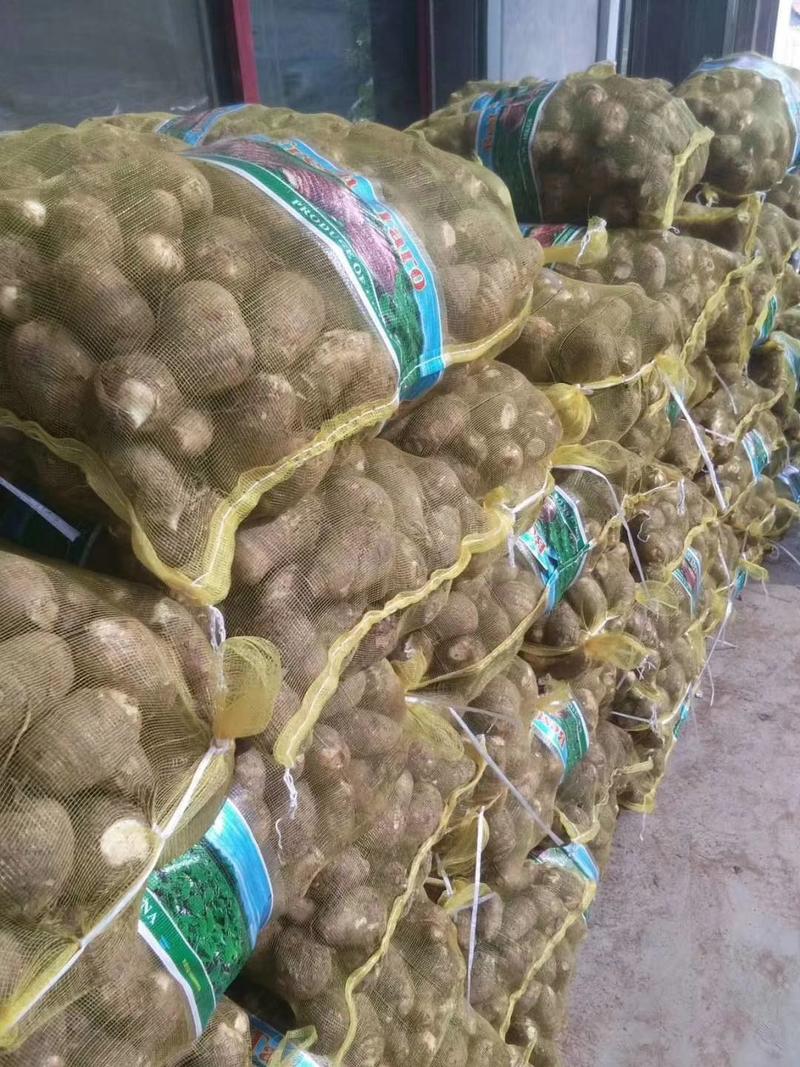 山东优质毛芋头大量供应毛芋头全国发货，坏烂包赔