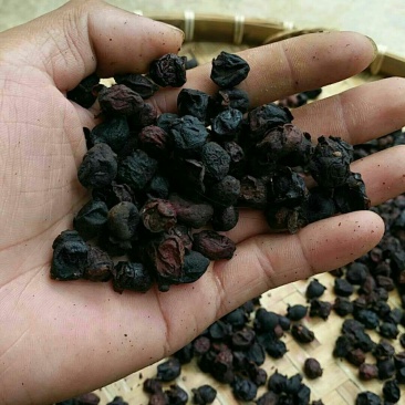 稔子干产地直销品质保证价格优惠欢迎选购