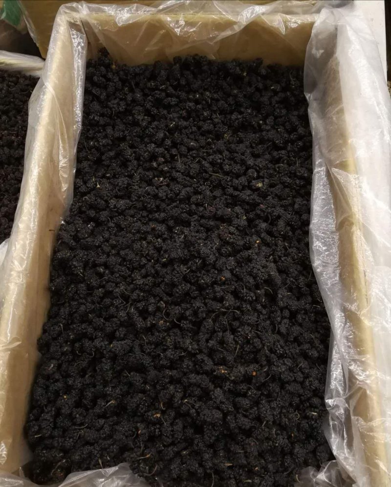 一件代发包邮新货保质量精选桑葚干