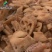 封开龙潭藕