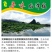 封开龙潭藕