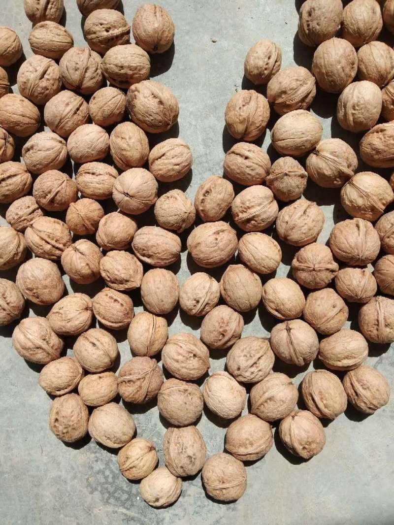 薄皮核桃