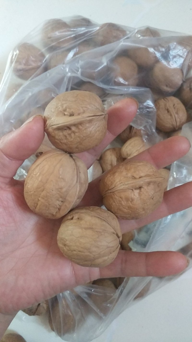 薄皮核桃