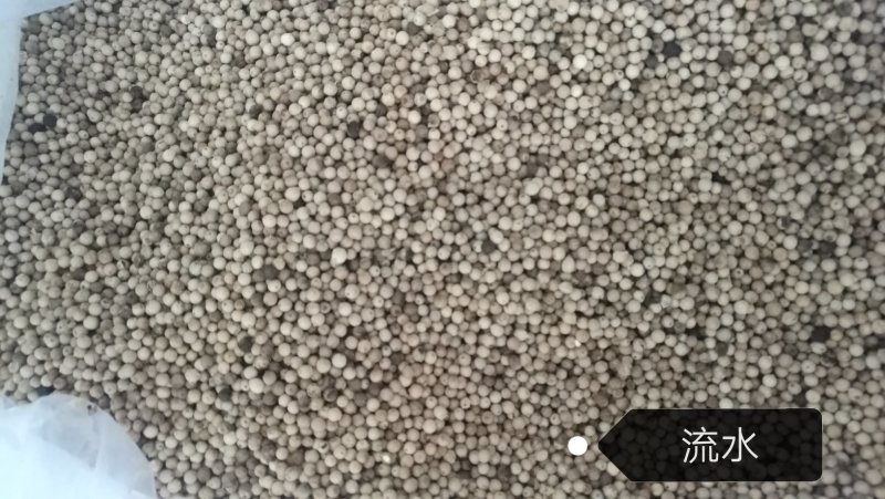 海南白胡椒纯正原装海南产地直销足干过风无杂质