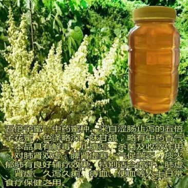 蜂蜜正中中华蜂蜜脾蜜