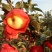 其它