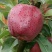 以前你吃苹果🍎：果农——收购商——运输——水果贩——