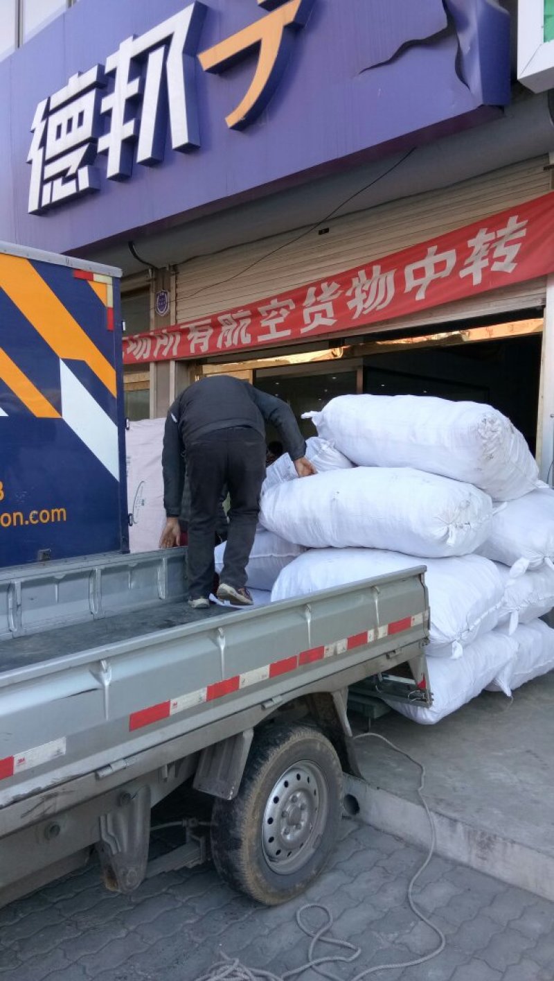 蓝宝石葡萄苗阳光玫瑰妮娜皇后秋天清脆保纯度