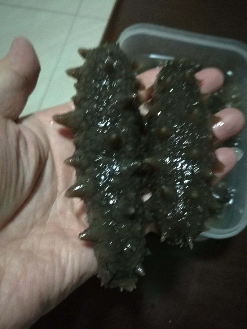 黑海参