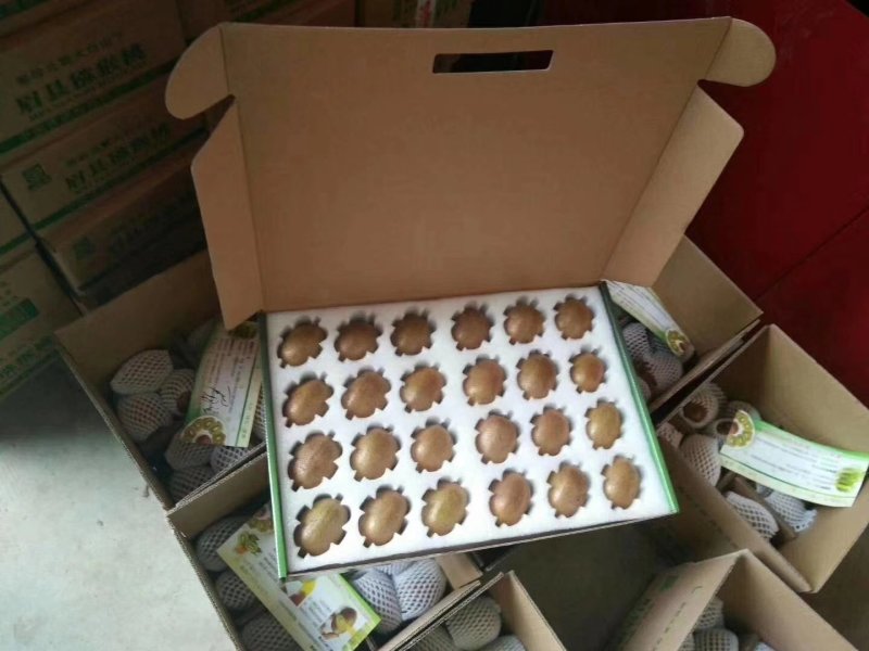 礼合猕猴桃礼品装招代理微商各大电商平台