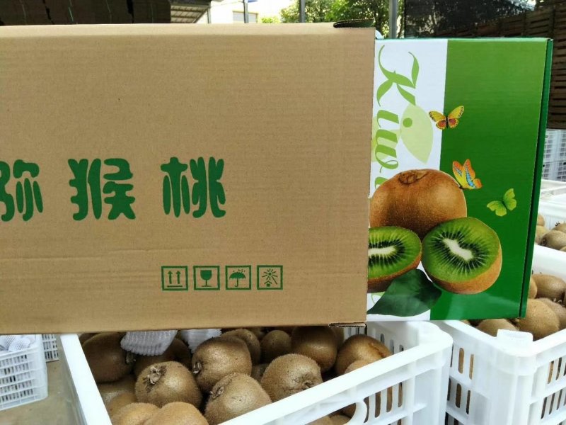 礼合猕猴桃礼品装招代理微商各大电商平台