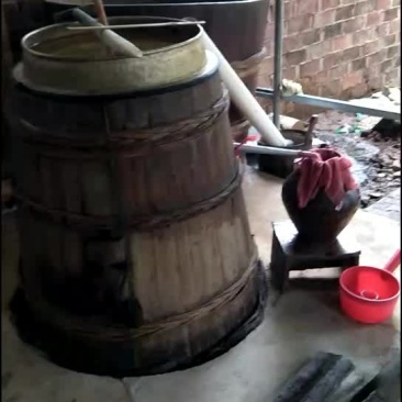 谷酒