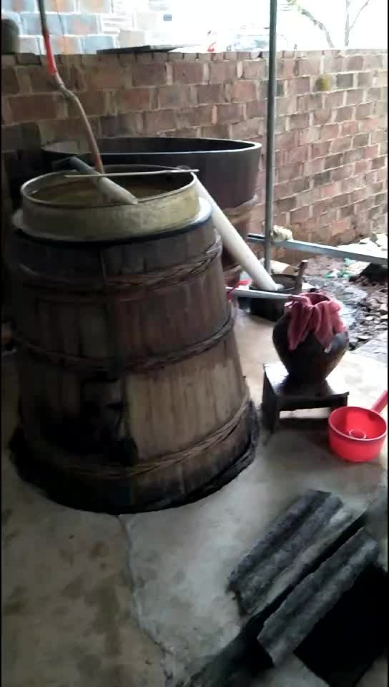谷酒
