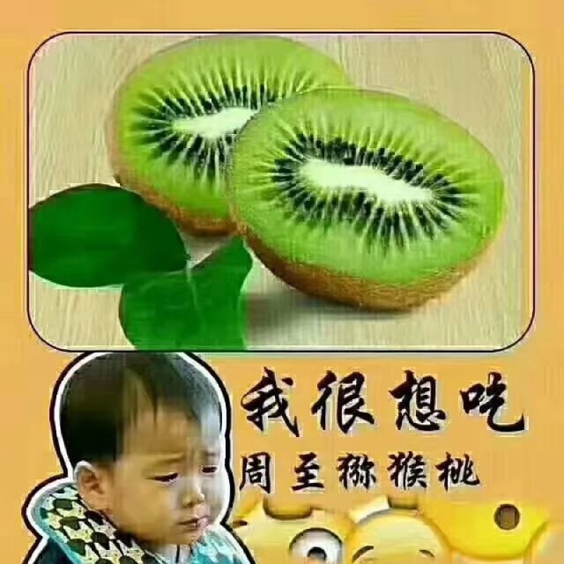 周至猕猴桃