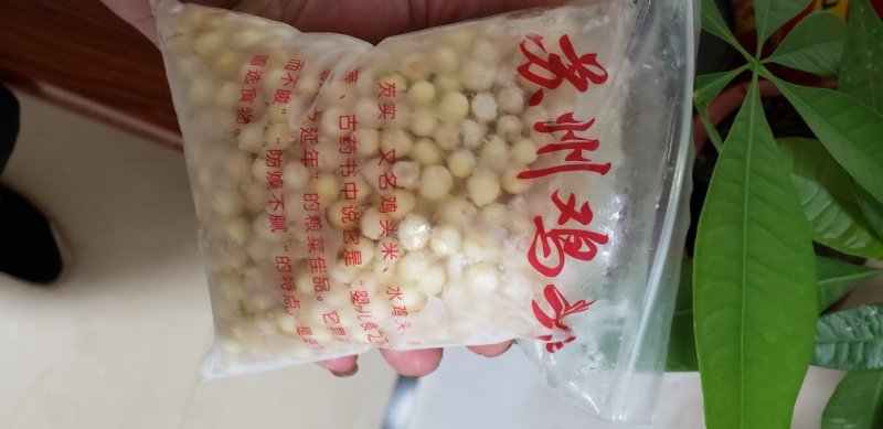 苏芡鸡头米