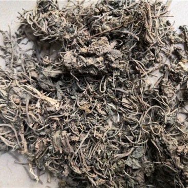 毛缬草