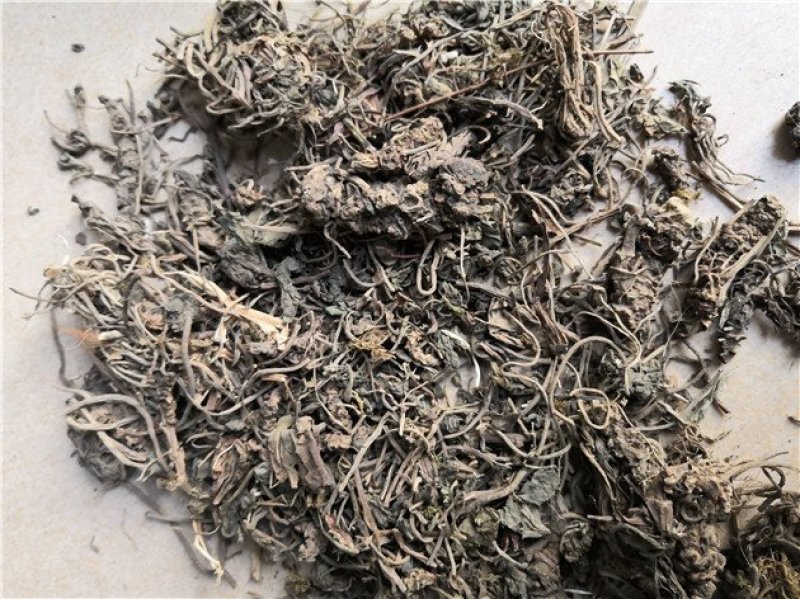 毛缬草