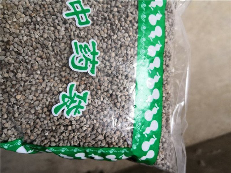 牡荆子
