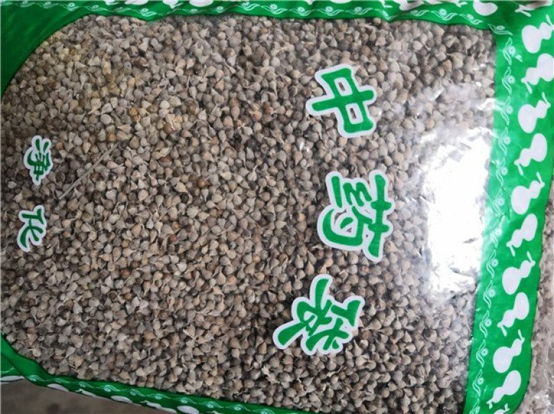 牡荆子