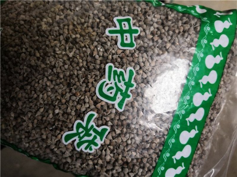 牡荆子