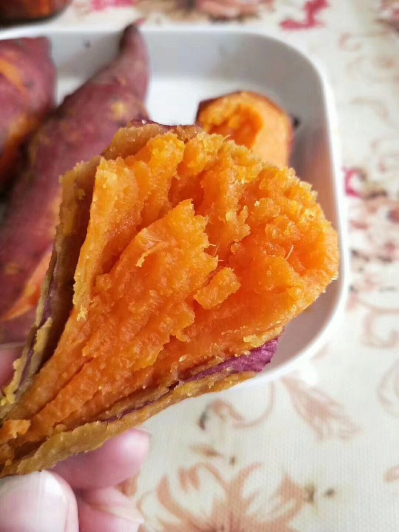 安远红心蜜薯