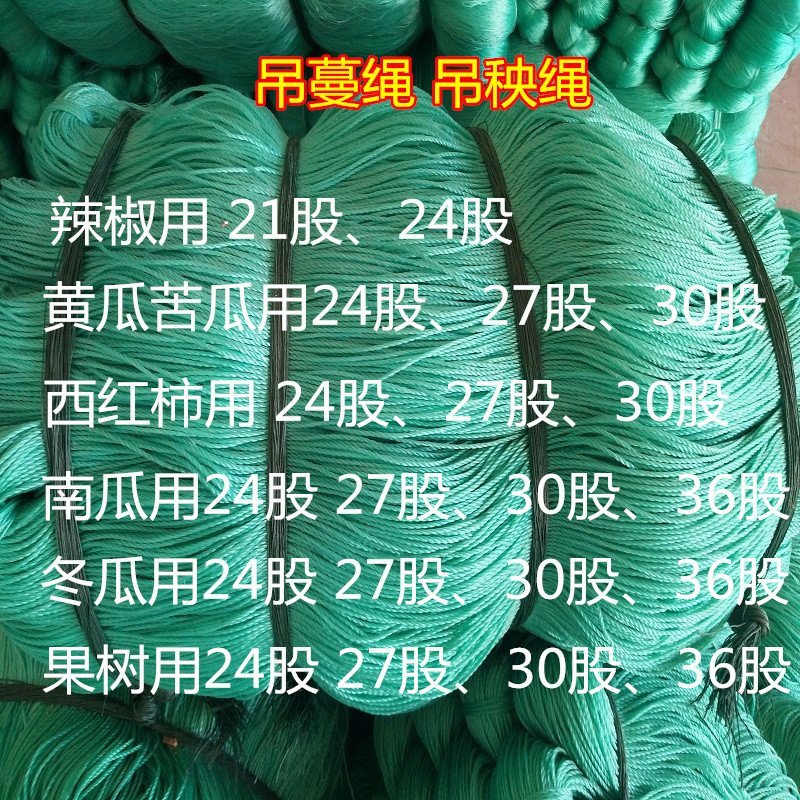 吊蔓绳吊秧绳大棚蔬菜吊绳塑料拉绳辣椒黄瓜西红柿番茄吊绳