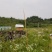 贵州息峰迦蜜山蜂业有限公司