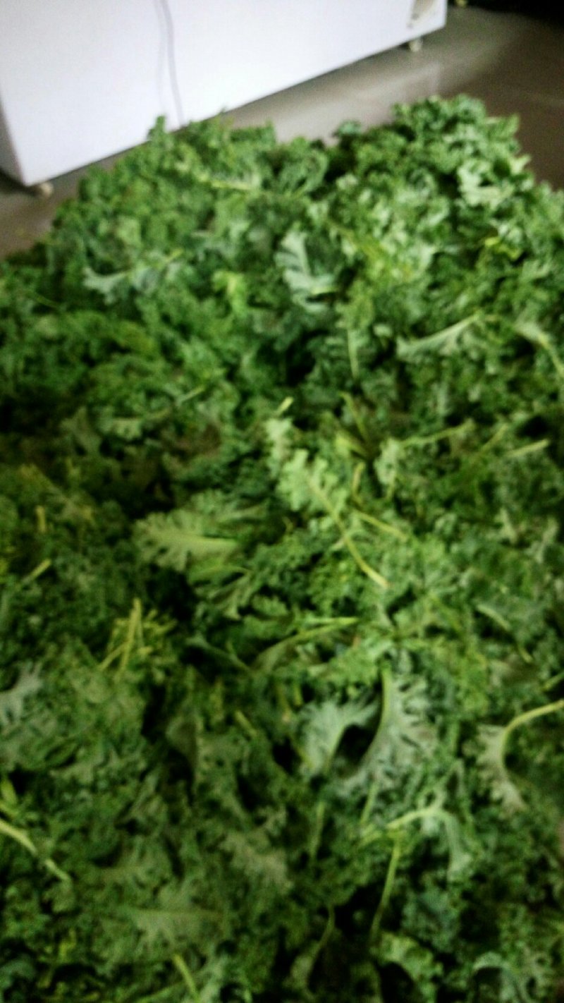 精品龙须菜，甘蓝叶，三叶香，谁要联系我联系我，量大价优