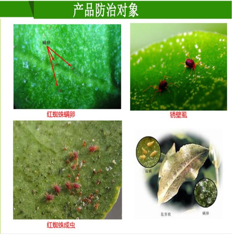 中新满威22%阿维螺螨酯果树蔬菜草莓柑橘红蜘蛛螨虫杀螨