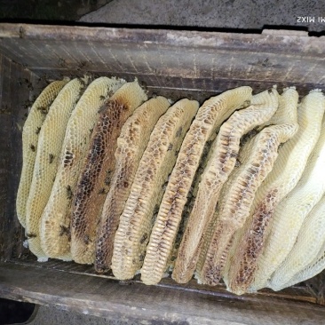 蜂蜜农家百药土蜂蜜