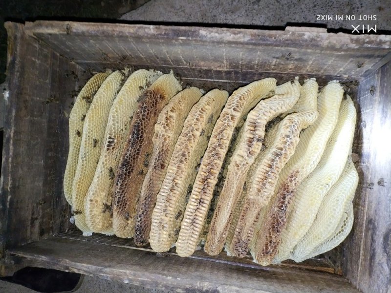 蜂蜜农家百药土蜂蜜