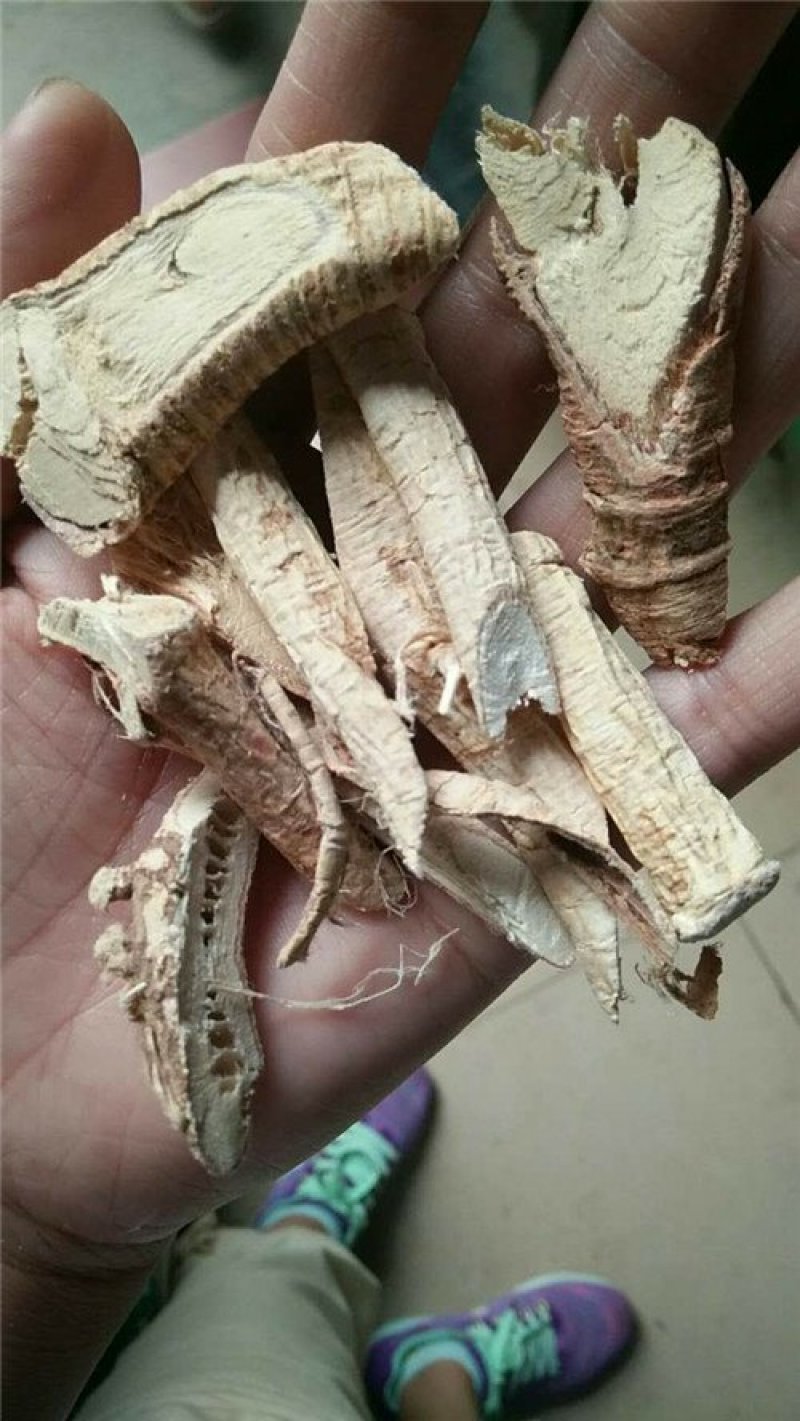 牛大力