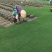 四季青，草坪块，草坪卷