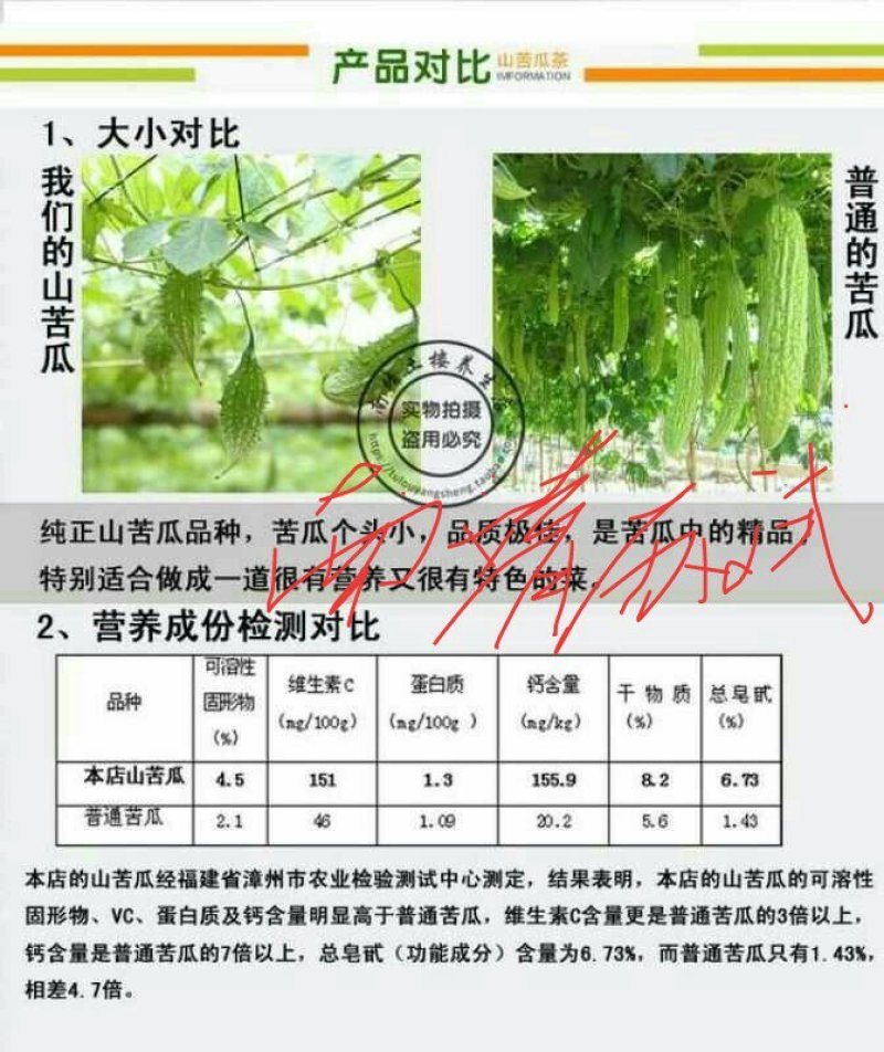 小苦瓜