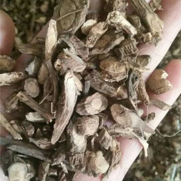 山豆根