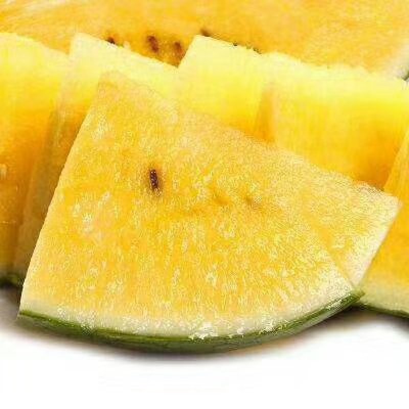 长期供应精品吊瓜……！