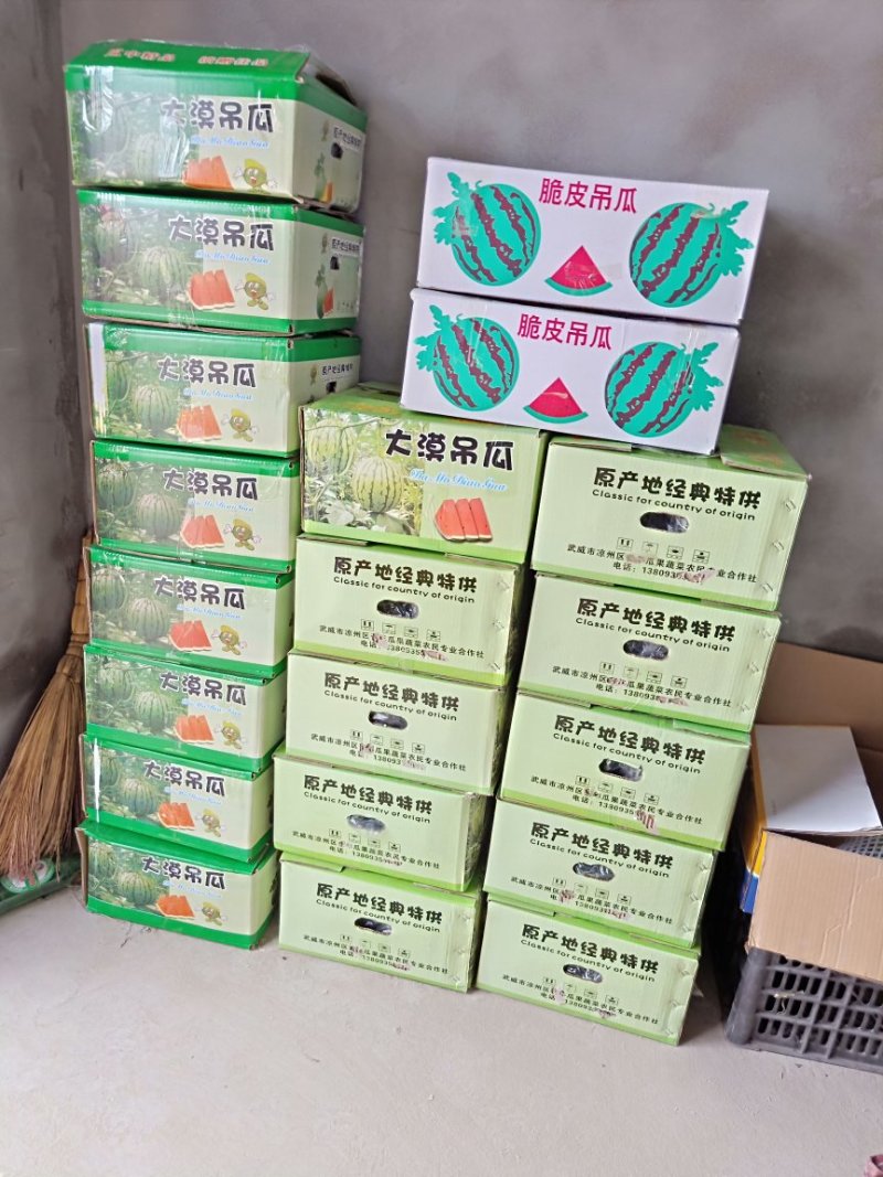 长期供应精品吊瓜……！