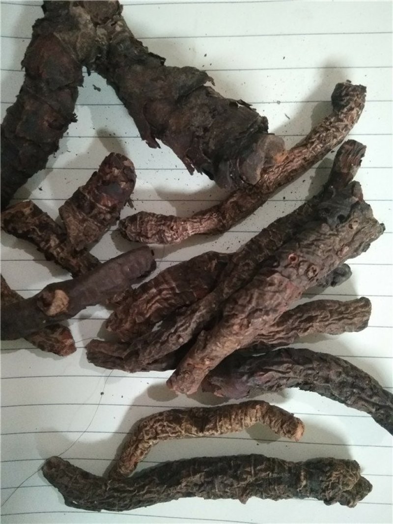 盘龙七